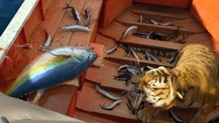 Life of Pi Movie Clip # 1