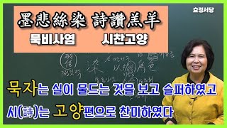 [천자문] 25강 묵비사염 시찬고양(墨悲絲染 詩讚羔羊)🐏