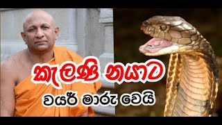 කැලණි නයාට වයර් මාරු වුණු හැටි