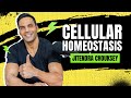 Jitendra Chouksey - Cellular Homeostasis