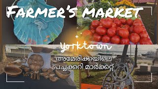 അമേരിക്കയിലെ പച്ചക്കറി മാർക്കറ്റ് - Farmer’s Markets in Yorktown