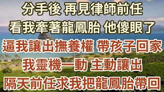 分手後 再見律師前任，看我牽著龍鳳胎 他傻眼了！逼我讓出撫養權 帶孩子回家！我靈機一動 主動讓出，隔天前任求我把龍鳳胎帶回！#中老年幸福#養老#情感故事#花開富貴#幸福人生