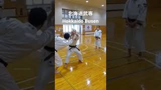 Shorinjikempo Hokkaido Busen 少林寺拳法 北海道 武専