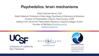 Psychedelics: brain mechanisms - Robin Carhart-Harris