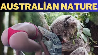 Documentary: PART 2 - Australian Nature and Animals.