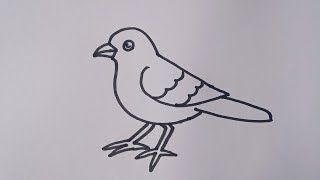 How to draw a Sparrow / easy Sparrow bird drawing step by step