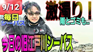 シーバス　旧江戸川　9/12　激濁り　マックスコーヒー　状態