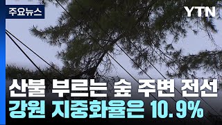 산불 부르는 숲 주변 전선...강원 지중화율은 10.9% / YTN