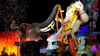 Elephant worshipping lord ganesha with Maala
