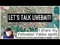 Where and how to catch Yellowtail Yakka and Squid LIVE BAIT? Hot Spots REVEALED!