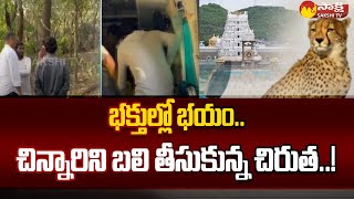 Tirumala: తిరుమలలో విషాదం | Leopard In Tirumala | Tirumala Devotees | @SakshiTV