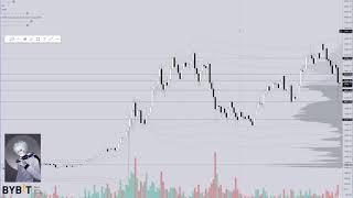 Macro Market Overview VWAP and SpaceTime Profile Advanced