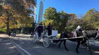 【4K】【background music】【The Central Park】【New York City 】NYC autumn fall season