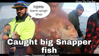 Caught Big Snapper fish (ਮੱਛੀ) 🐟.ਨਿਊਜ਼ੀਲੈਂਡ #Newzealand  #Glennthevanboy