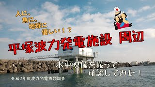 令和2年度波力発電魚類調査ビデオ