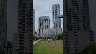 Cityplace Condos Park Downtown Toronto Canoe Landing \u0026 Bridge Building Spadina \u0026 Gardiner Expressway