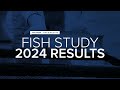 montana fwp gives update on fish studies in the jefferson river system