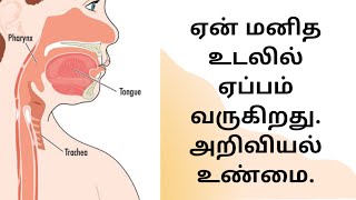 ஏன் மனித உடலில் ஏப்பம் வருகிறது. அறிவியல் உண்மை.