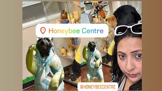 Day at HONEYBEE CENTRE🐝Surrey, BC, Canada #honeybee#bee#beekeeping#nature#naturelovers#viral#surrey