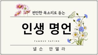 편안한 목소리로 듣는 인생 명언 풀이/ 실패를 두려워하지 마라/ 삶의 지혜/ 넬슨 만델라