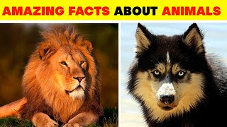 Facts About Animals 🦁🐓 | Amazing Facts | Random Facts | Mind Blowing Facts In Hindi #shorts