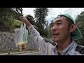 带两个女队友进山里采松茸 我的旅行日记 vlog日常 采蘑菇