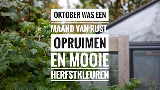 Luc's moestuin: oktober 2024