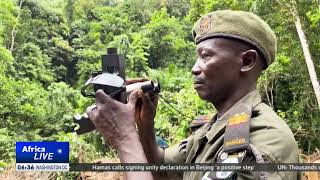 Sierra Leone authorities struggling to deal with illegal mining, logging