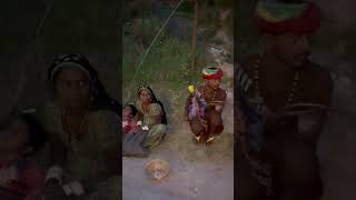 Traditional Music of Rajasthan in Himachal Pradesh 🎧😀 #shorts