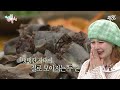 전참시 이보다 더 많이 먹는 조합은 없다. 쉬지 않고 먹는 뉴 뚱룰라 mbc240511방송