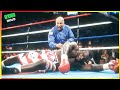 Lennox Lewis The Most Brutal Revenge