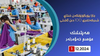 ھەپتىلىك مۇھىم خەۋەرلەر |2024.12.01| جازا يۈرگۈزۈلگەن خىتاي شىركەتلىرى 100 دىن ئاشتى