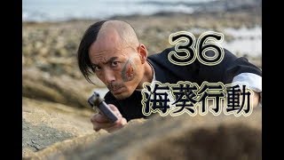 海葵行动 36