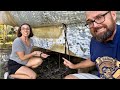 ⛵️ Hurricane damaged catamaran. SO much water in BOTH keels 💦 Ep 600