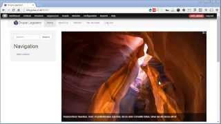 Drupal FlexSlider - 5 - FlexSlider Fields