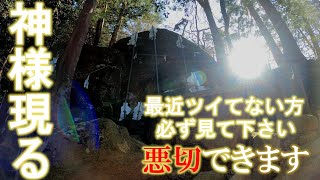 ⚠️神回※神様が出現しました！素盞鳴尊の恩恵で悪いモノを断ち切る悪切します｜遠隔参拝111