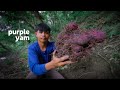 Real UBE(PURPLE YAM) from the forest | Cooked ube halaya and purple sinigang | Gayyem Ben