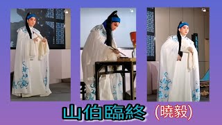 粤劇 折子戲之《山伯臨終》曉毅 (深圳市粤劇團) cantonese opera