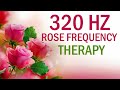 320Hz 30 Minute Rose Frequency Therapy | Healing Music | Real Frequencies