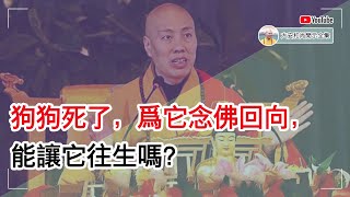 狗狗死了，为它念佛回向，能让它往生吗？【大安法师开示】