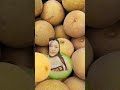 most satisfying #melon #fruits #yummy #trending #shorts #viral