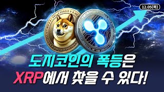 [비트스탁 도지코인]12.05(목)도지코인의 폭등은 XRP에서 찾을 수 있다!