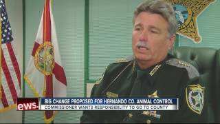 Hernando Co. considers changes to animal control