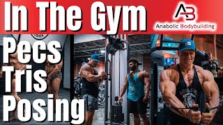 Chest & Triceps Training With Posing Practice