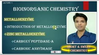 (HINDI) LECT-11 CARBOXY PEPTIDASE-A,  CARBONIC ANHYDRASE BIOINORGANIC CHEMISTRY CSIR JRF NET & GATE