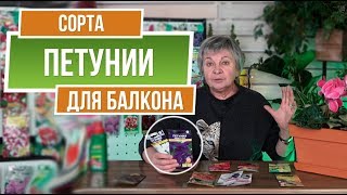 Лучшие Петунии для Балкона ✔️ Петунии в Вазоне ✔️ Цветы на Балконе