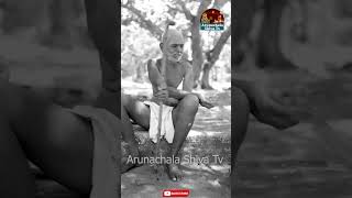 ఎందుకు చేస్తావు తప్పు కాదు అంతే.. | Ramana Maharshi | Chaganti Koteswara Rao | Arunachala Shiva Tv