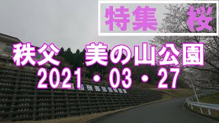 【車載動画】特集桜2021・03・27秩父美の山公園の様子/Special Feature Sakura 2021/03/27 Chichibu Minoyama Park