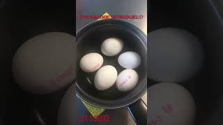 EASY WAY TO TAKE OUT EGGSHELLS