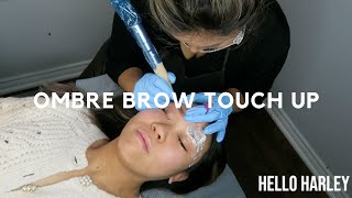 Ombre Brow Touch up + Healing!